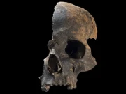 قدیم برطانیہ میں ہونے والا خوفناک قتلِ عام جس میں لوگوں کو کھایا گیا