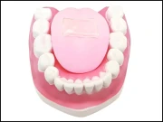 کھانوں میں مرچوں کی پیمائش کیلئے مصنوعی زبان تیار