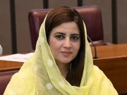 پشاور ہائیکورٹ نے الیکشن کمیشن کو زرتاج گل کی نااہلی  کی کارروائی سے روک دیا