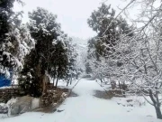 کوئٹہ میں بارش سے نشیبی علاقے زیر آب، زیارت میں برفباری سے موسم مزید سرد