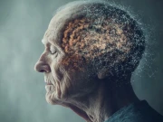 دماغ عمر کے ساتھ ساتھ کمزور کیوں ہوتا ہے؟ سائنسی وجوہات