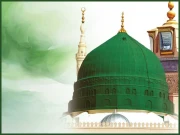 زباں فہمی260 ؛ دارُالّسُرُور۔رام پور (حصہ پنجُم/آخر)