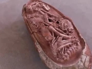 ارجنٹینا میں 7 کروڑ سال پرانا ڈائنوسار کا انڈا دریافت